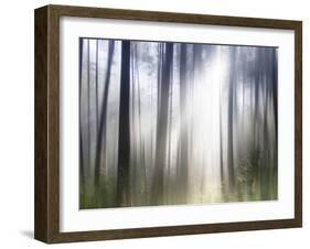 Sacred-Viviane Fedieu Daniel-Framed Photographic Print