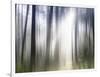 Sacred-Viviane Fedieu Daniel-Framed Photographic Print