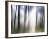 Sacred-Viviane Fedieu Daniel-Framed Photographic Print