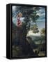 Sacrifice of Isaac-Annibale Carracci-Framed Stretched Canvas
