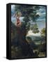 Sacrifice of Isaac-Annibale Carracci-Framed Stretched Canvas