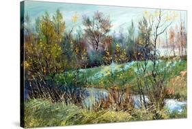 Sad Autumn Landscape-balaikin2009-Stretched Canvas