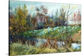 Sad Autumn Landscape-balaikin2009-Stretched Canvas