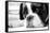 Sad Boxer Dog-miketea88-Framed Stretched Canvas