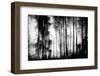 Sad Song-Jacob Berghoef-Framed Photographic Print