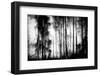 Sad Song-Jacob Berghoef-Framed Photographic Print