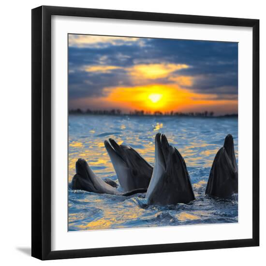 Premium Photographic Print, , large