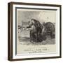 Saddle and Sabre-William Small-Framed Giclee Print