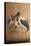 Saddle-Billed Stork (Xenorhynchus Senegalensis), 1856-67-Joseph Wolf-Stretched Canvas