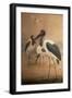 Saddle-Billed Stork (Xenorhynchus Senegalensis), 1856-67-Joseph Wolf-Framed Giclee Print