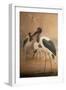 Saddle-Billed Stork (Xenorhynchus Senegalensis), 1856-67-Joseph Wolf-Framed Giclee Print