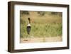 Saddle Billed Stork-Michele Westmorland-Framed Photographic Print