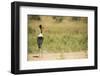 Saddle Billed Stork-Michele Westmorland-Framed Photographic Print