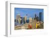 Saddle Dome & Calgary Skyline-null-Framed Art Print