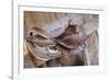 Saddle resting on the railing, Tucson, Arizona, USA.-Julien McRoberts-Framed Photographic Print