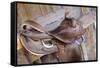 Saddle resting on the railing, Tucson, Arizona, USA.-Julien McRoberts-Framed Stretched Canvas