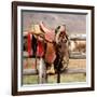 Saddle Up-Danita Delimont-Framed Photo