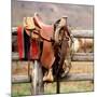 Saddle Up-Danita Delimont-Mounted Photo