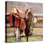 Saddle Up-Danita Delimont-Stretched Canvas