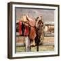 Saddle Up-Danita Delimont-Framed Photo