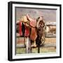 Saddle Up-Danita Delimont-Framed Photo