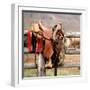 Saddle Up-Danita Delimont-Framed Photo