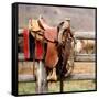 Saddle Up-Danita Delimont-Framed Stretched Canvas