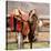 Saddle Up-Danita Delimont-Stretched Canvas