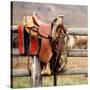 Saddle Up-Danita Delimont-Stretched Canvas