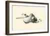 Saddle-C.W. Anderson-Framed Art Print