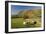 Saddleback, Four Grazing Sheep, Lake Distict, Cumbria, England, United Kingdom-James Emmerson-Framed Photographic Print