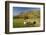 Saddleback, Four Grazing Sheep, Lake Distict, Cumbria, England, United Kingdom-James Emmerson-Framed Photographic Print