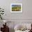 Saddleback, Four Grazing Sheep, Lake Distict, Cumbria, England, United Kingdom-James Emmerson-Framed Photographic Print displayed on a wall
