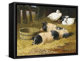 Saddleback Pigs and Ducks in a Farmyard-John Frederick Herring II-Framed Stretched Canvas