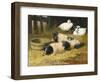 Saddleback Pigs and Ducks in a Farmyard-John Frederick Herring II-Framed Giclee Print