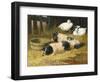 Saddleback Pigs and Ducks in a Farmyard-John Frederick Herring II-Framed Giclee Print