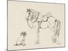 Saddled Horse and a Dog, 1841-Henry Abraham Klinkhamer-Mounted Art Print