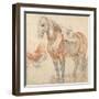 Saddled Horse, C. 1616-1618-Peter Paul Rubens-Framed Giclee Print