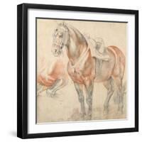 Saddled Horse, C. 1616-1618-Peter Paul Rubens-Framed Giclee Print