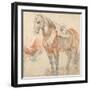 Saddled Horse, C. 1616-1618-Peter Paul Rubens-Framed Giclee Print