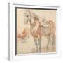 Saddled Horse, C. 1616-1618-Peter Paul Rubens-Framed Giclee Print