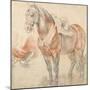 Saddled Horse, C. 1616-1618-Peter Paul Rubens-Mounted Giclee Print