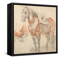 Saddled Horse, C. 1616-1618-Peter Paul Rubens-Framed Stretched Canvas