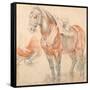 Saddled Horse-Peter Paul Rubens-Framed Stretched Canvas