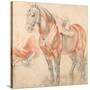 Saddled Horse-Peter Paul Rubens-Stretched Canvas