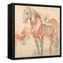 Saddled Horse-Peter Paul Rubens-Framed Stretched Canvas