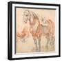 Saddled Horse-Peter Paul Rubens-Framed Giclee Print