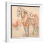 Saddled Horse-Peter Paul Rubens-Framed Giclee Print