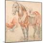 Saddled Horse-Peter Paul Rubens-Mounted Giclee Print