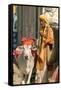 Sadhu, Holy Man, with Cow During Pushkar Camel Festival, Rajasthan, Pushkar, India-David Noyes-Framed Stretched Canvas